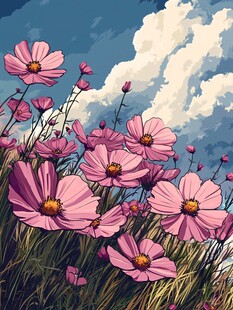 粉艳格桑花绽于蓝天白云下