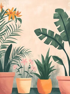 室内多彩盆栽植物组合