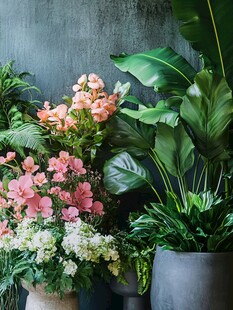 多彩花卉绿植组合景观