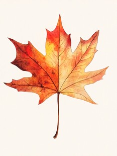 秋日枫叶水彩画
