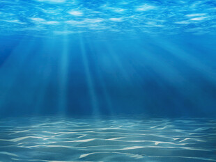 海洋 海底