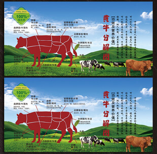 牛肉分解图