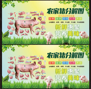 猪肉分解图