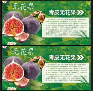 无花果
