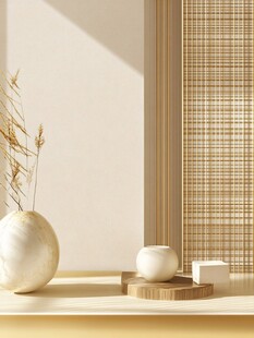 简约风室内装饰静物展示