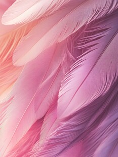 梦幻粉色系轻柔羽毛纹理