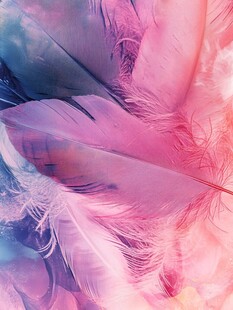 梦幻羽毛色彩交织纹理