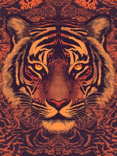 威严虎首 神秘花纹背景