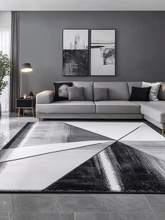 现代简约风客厅地毯装饰