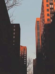 城市楼宇间的光影景致