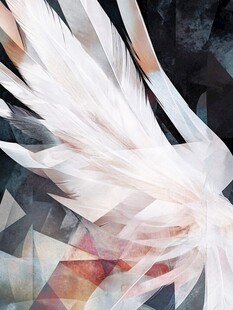 梦幻白色羽翼抽象艺术图