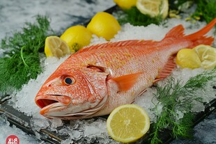 冰鲜红鱼配柠檬莳萝