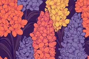 多彩风信子花卉图案