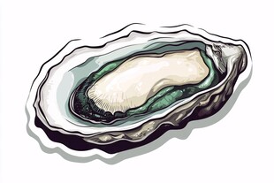 手绘鲜美的单颗生蚝