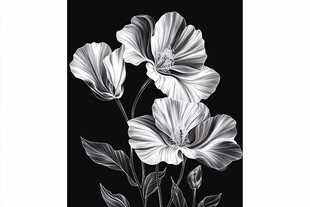 黑白花卉插画 优雅花朵绽放