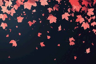 飘落的红枫叶背景图