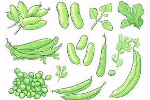 各种青豆豌豆插画集合