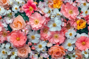 缤纷多彩花卉组合景观