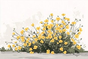 黄色花卉丛插画