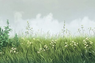 原野上的清新草地风景