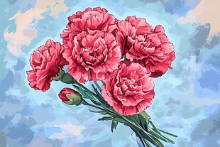 鲜艳康乃馨插画