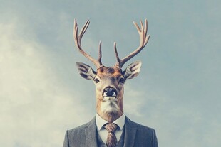 鹿头人身的奇幻商务形象