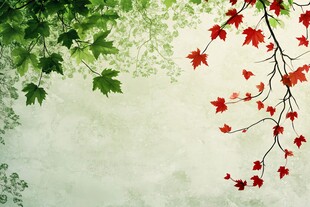 红枫绿叶背景图