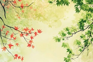 红绿枫叶交织的梦幻景致