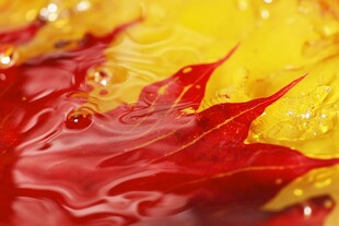 红黄交融的梦幻液体纹理