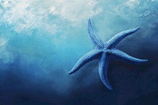 深海中的蓝色海星