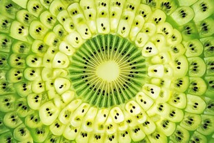 奇异果切片的美丽图案