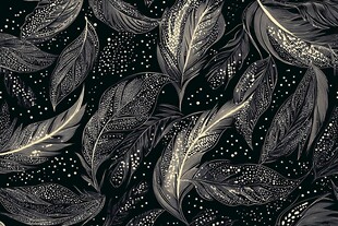 黑色羽毛图案的精美背景