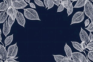 深蓝背景白色叶脉装饰图