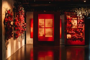 红色艺术展厅花卉与陈列