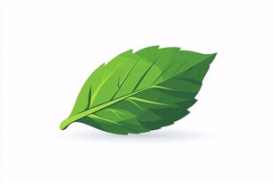 单片绿色卡通叶片插画