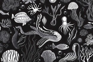 海洋生物黑白手绘图案