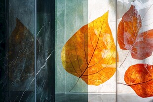 秋日透明叶片艺术画面