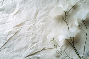 褶皱纸上的素雅白色花朵