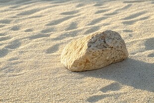 沙滩上的孤独石块