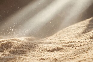 阳光洒落沙地的静谧之景