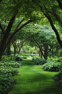 绿荫幽径 沉醉自然之美