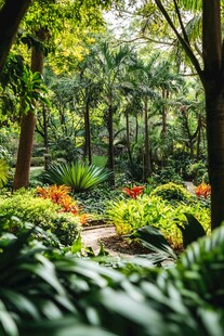 热带雨林中的多彩植物景观