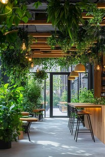 室内绿植环绕的休闲空间