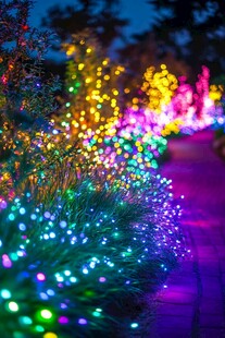 梦幻彩色灯景装点小道