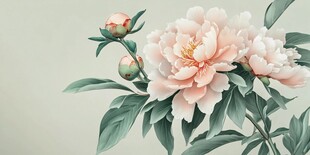 唯美盛开粉色芍药花图