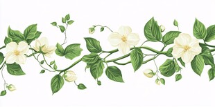 白色茉莉花藤蔓装饰图案