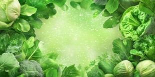 绿色蔬菜环绕的清新画面