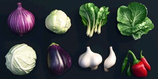 多样新鲜蔬菜展示