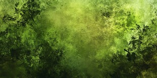 梦幻绿色森林背景画面