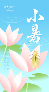 小暑时节绽放的美丽荷花